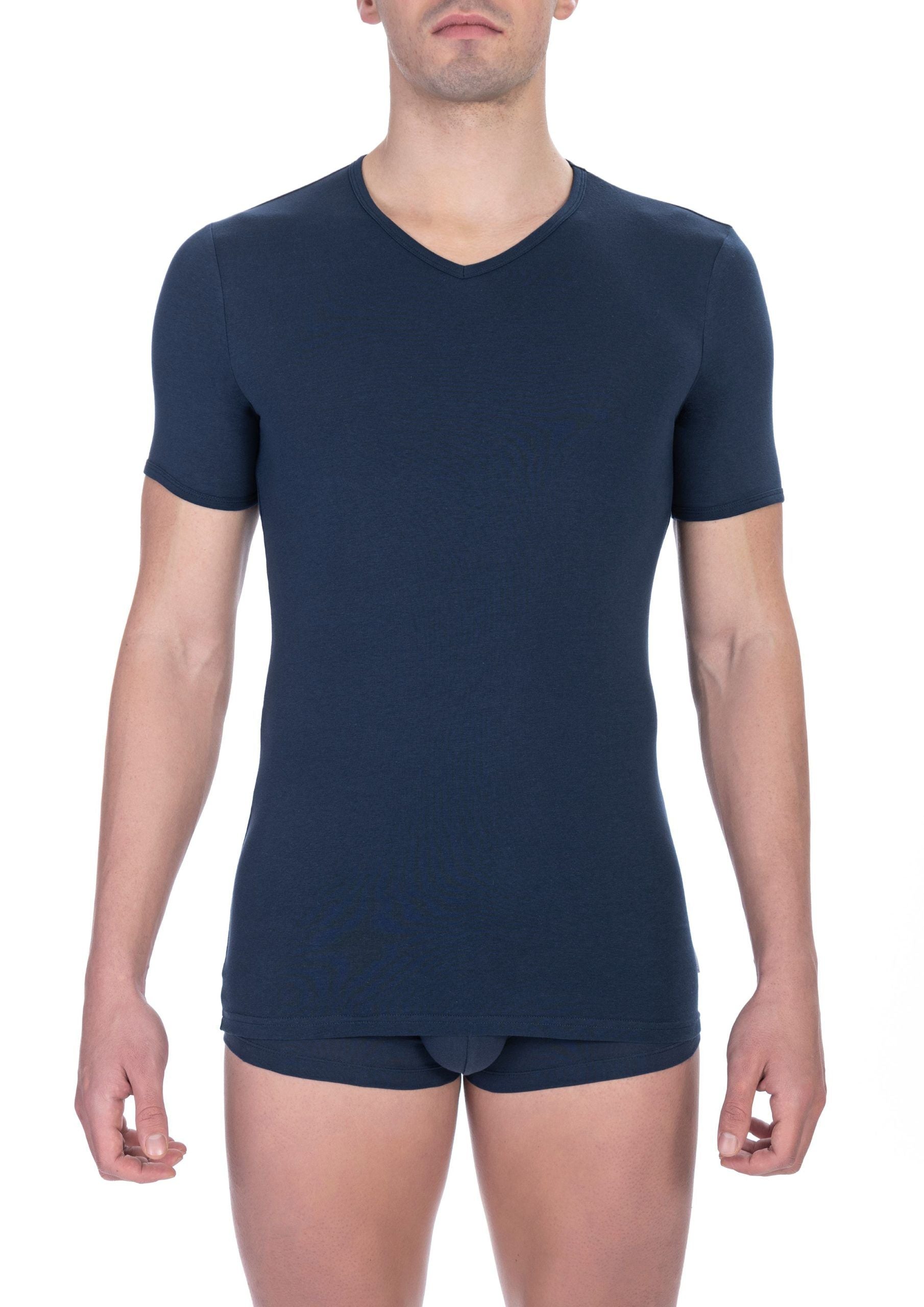 Blue Cotton Men's V-Neck T-Shirt