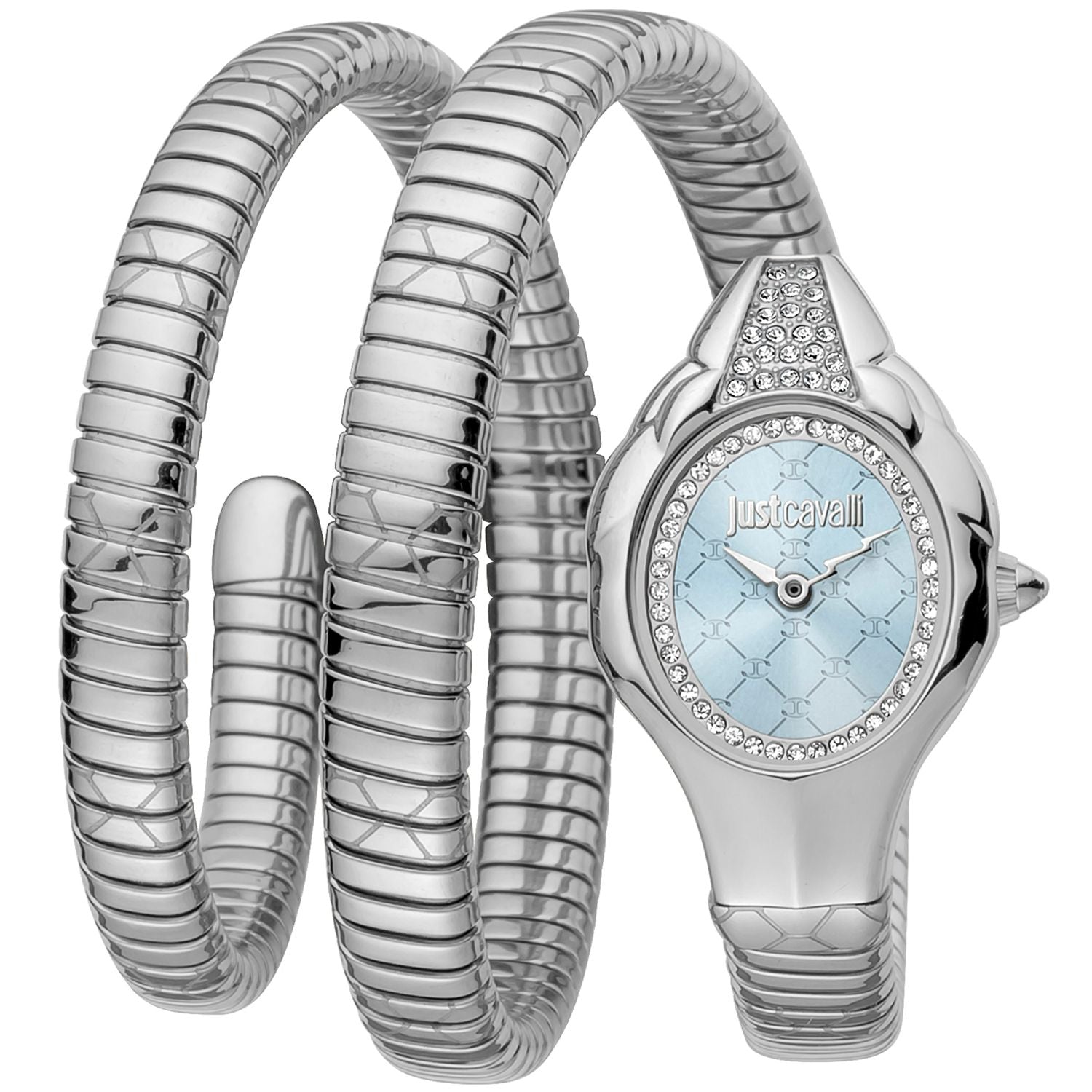 Silver Women Watch