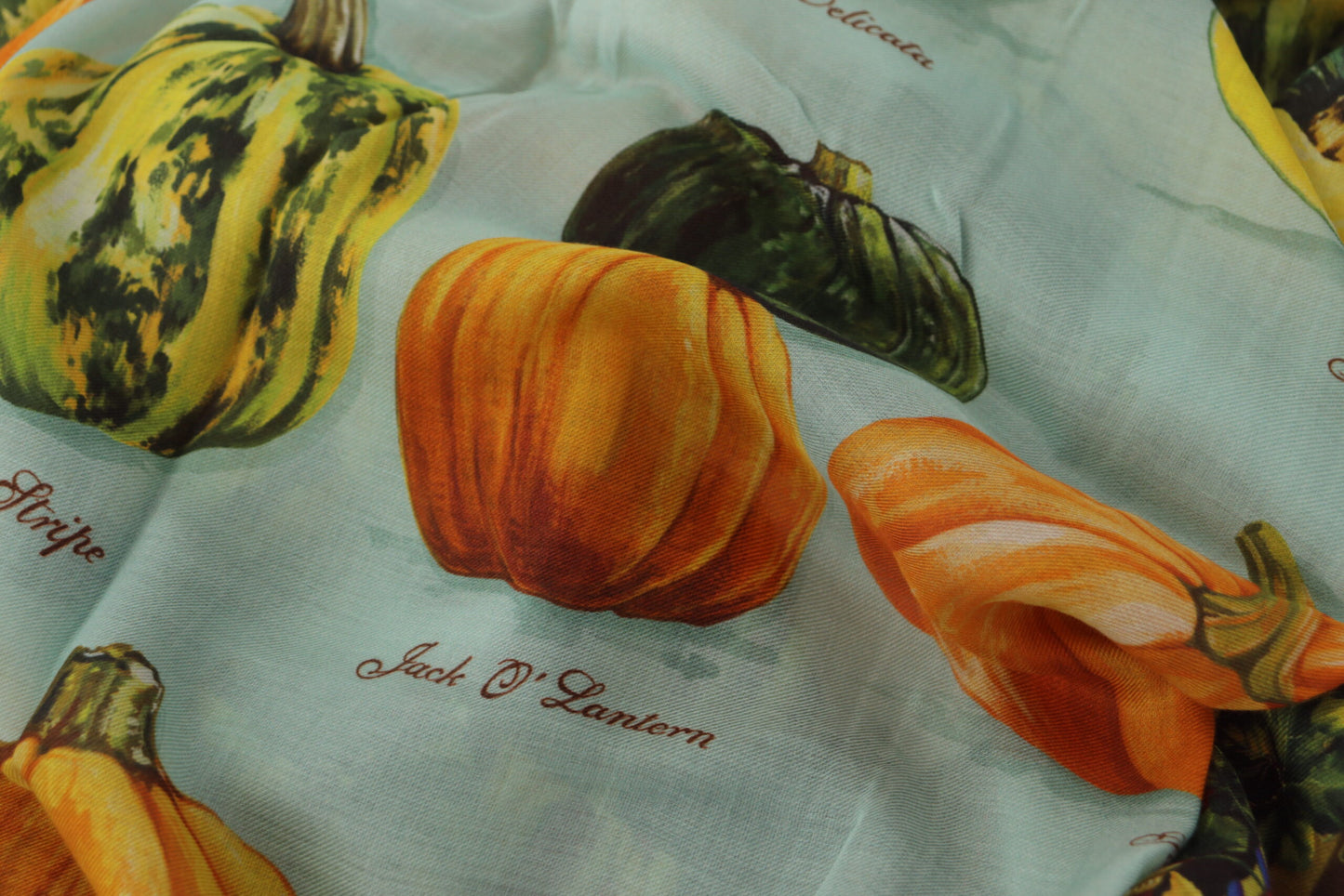 Vegetable Print Silk Blend Scarf