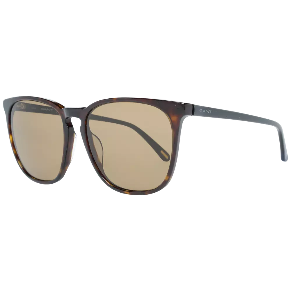 Brown Men Sunglasses