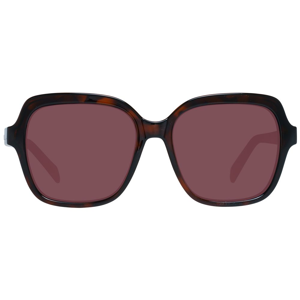 Brown Women Sunglasses