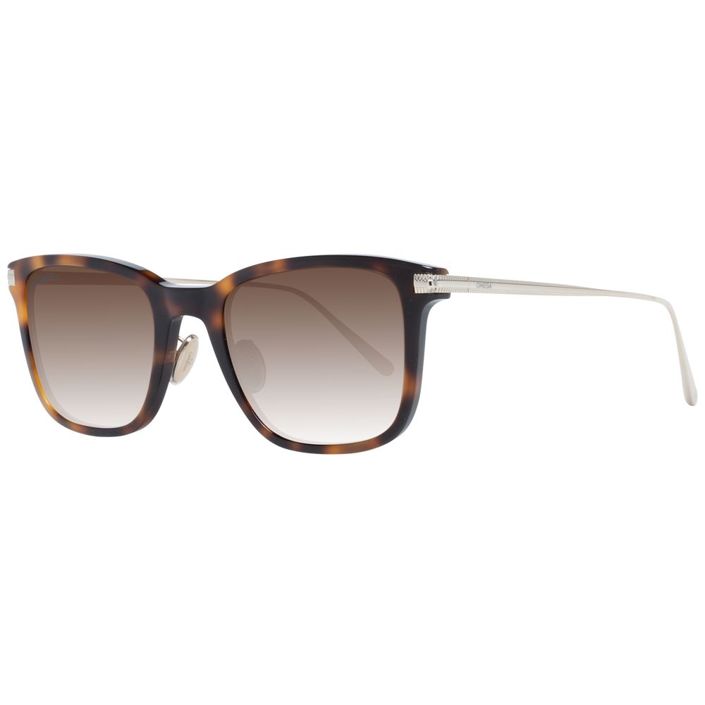 Brown Men Sunglasses