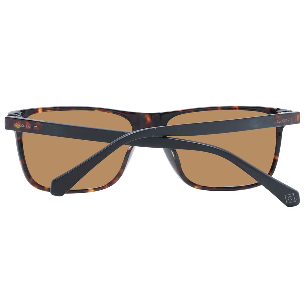 Brown Men Sunglasses