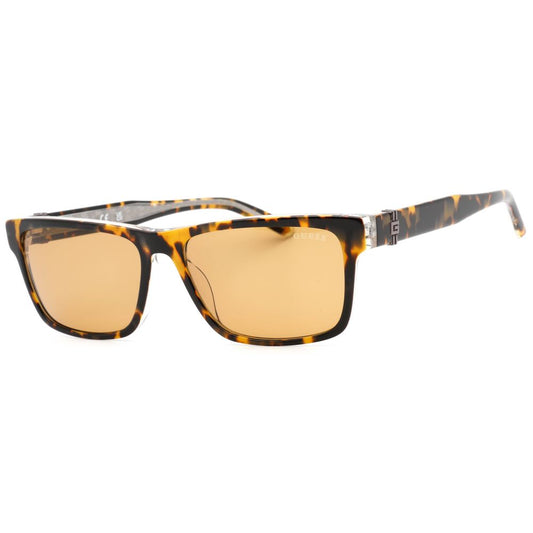 Brown Resin Sunglasses