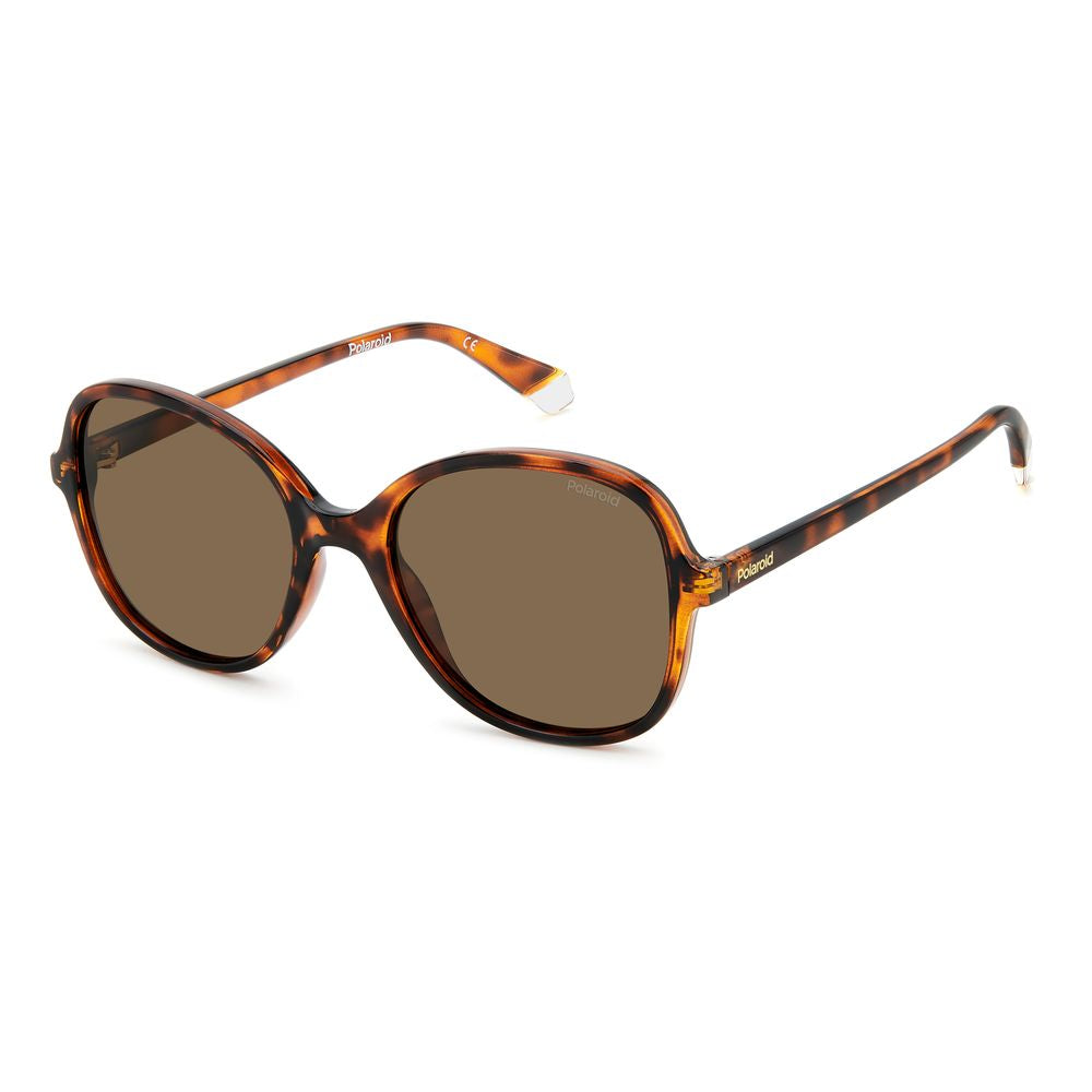 Brown Resin Sunglasses