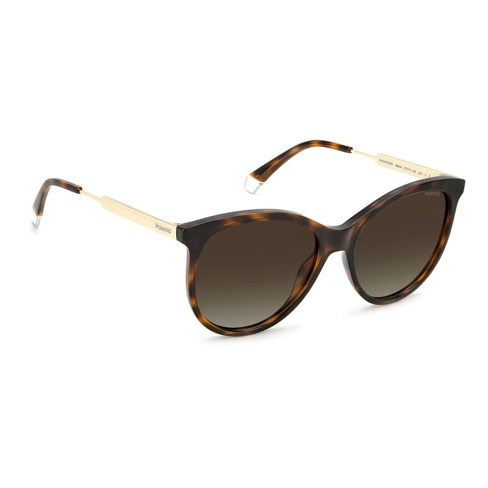 Brown Resin Sunglasses