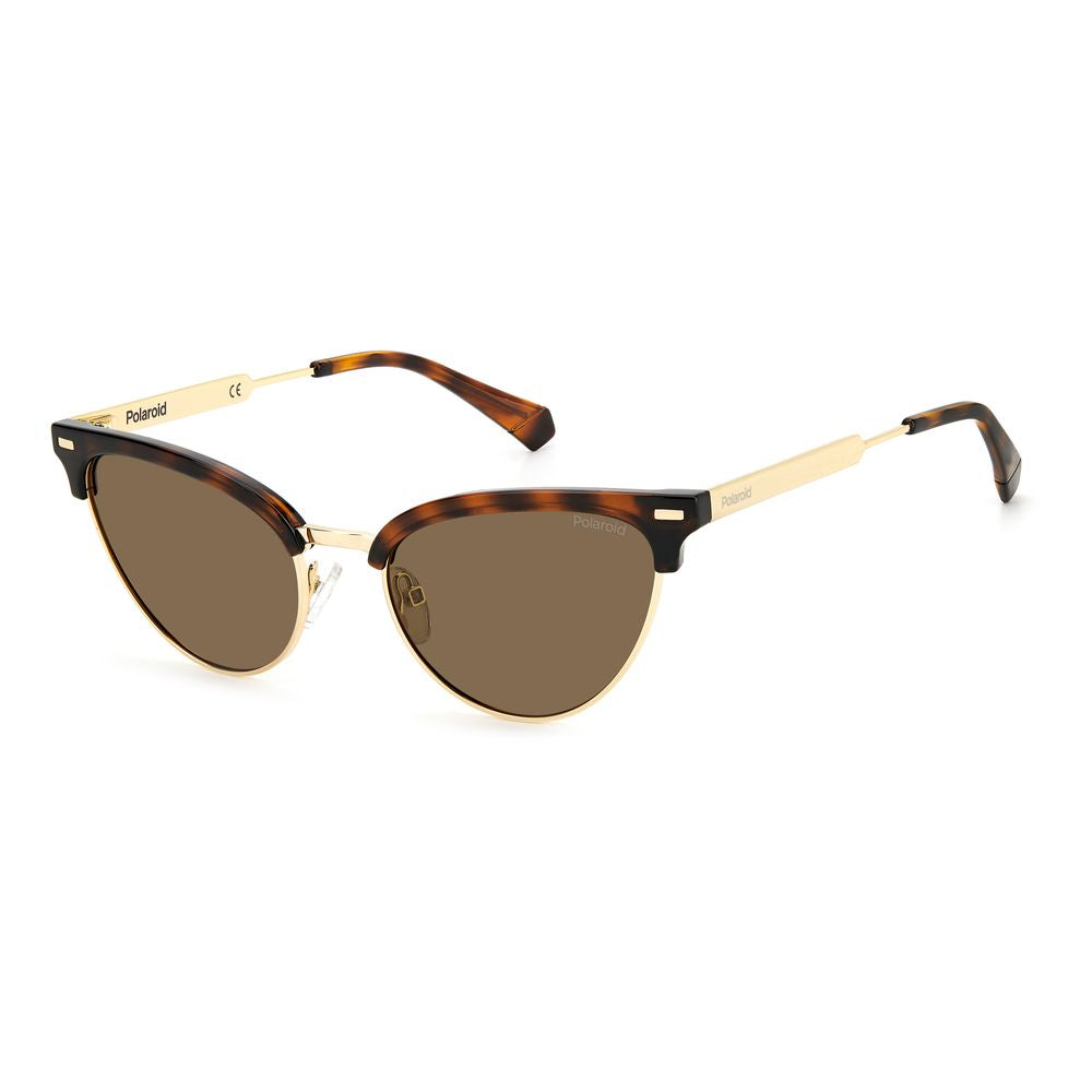 Brown Stainless Steel Sunglasses