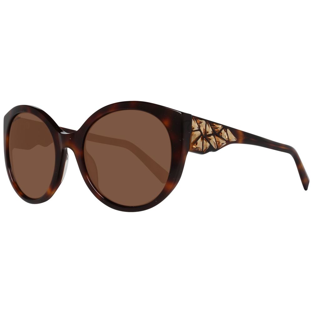 Brown Plastic Sunglasses