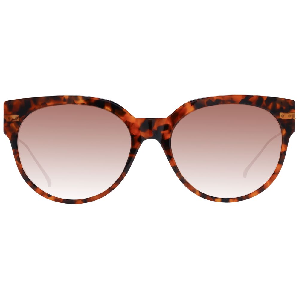 Brown Women Sunglasses