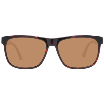 Brown Men Sunglasses