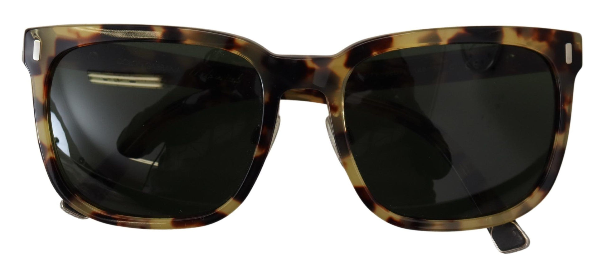 Chic Wayfarer Sunglasses in Havana